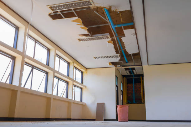 Best Ceiling water damage repair  in West Miami, FL