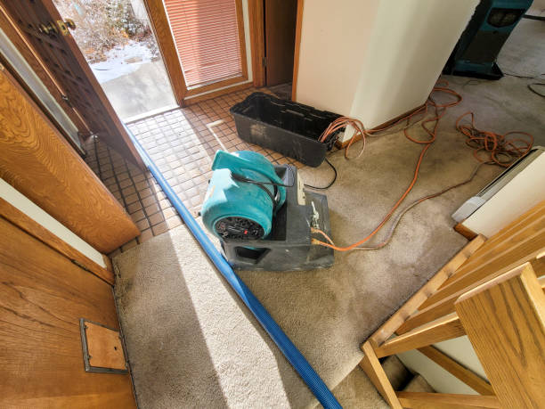 Best Water damage contractors near me  in West Miami, FL
