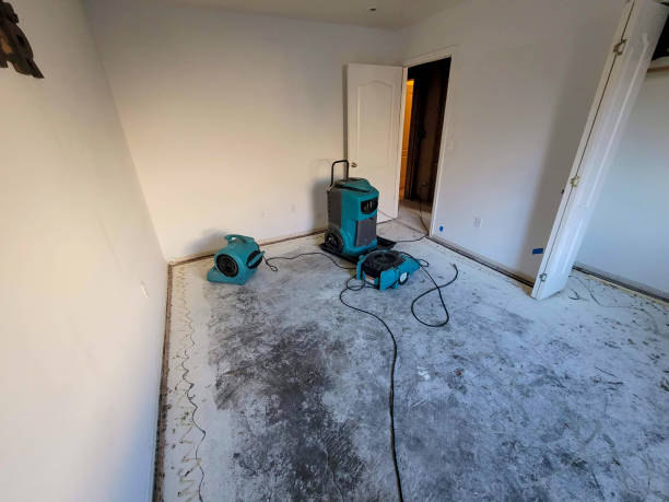 Best 24/7 water damage repair  in West Miami, FL