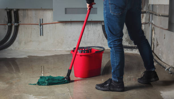 Best Fire Damage Restoration  in West Miami, FL