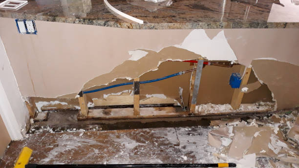 Best Flooded house restoration  in West Miami, FL