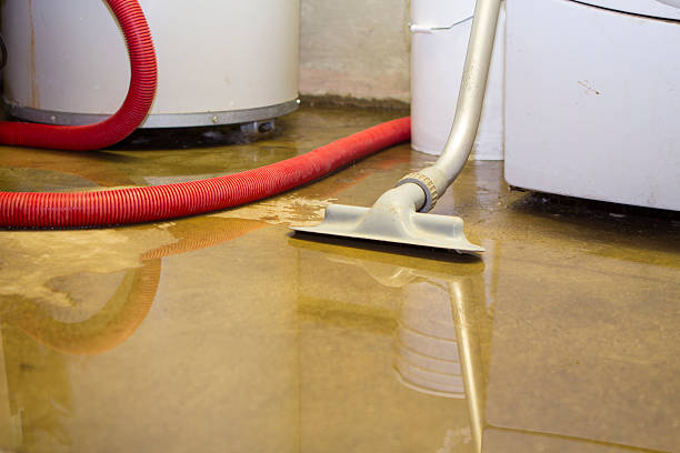 Best Basement water damage restoration  in West Miami, FL