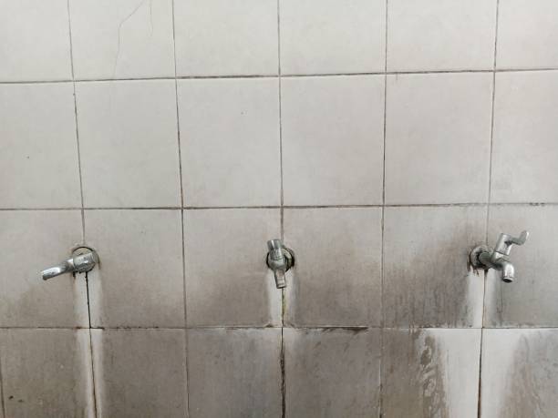 Best Commercial water damage restoration  in West Miami, FL