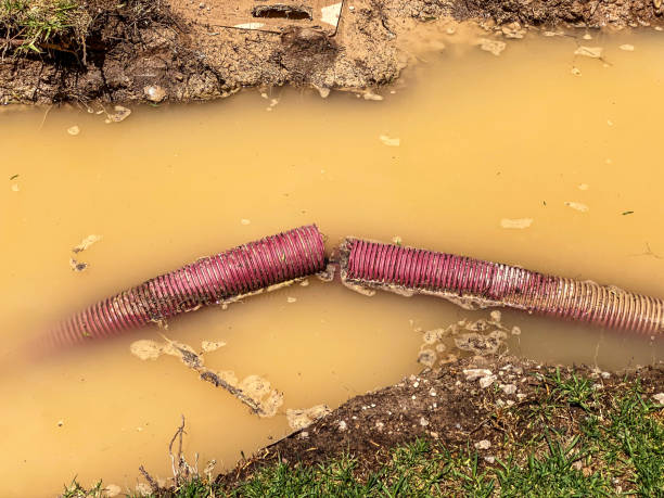 Best Water damage restoration near me  in West Miami, FL
