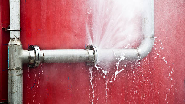Best Carpet water damage restoration  in West Miami, FL